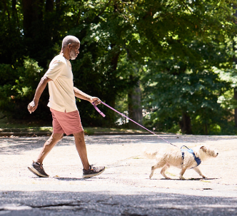 Bob walking his dog