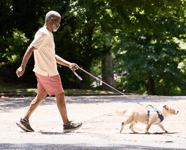 Bob walking his dog